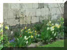 York 018.jpg (71617 byte)