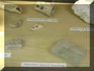 York 056.jpg (53735 byte)