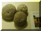 York 137.jpg (55566 byte)