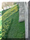 York 187.jpg (63634 byte)